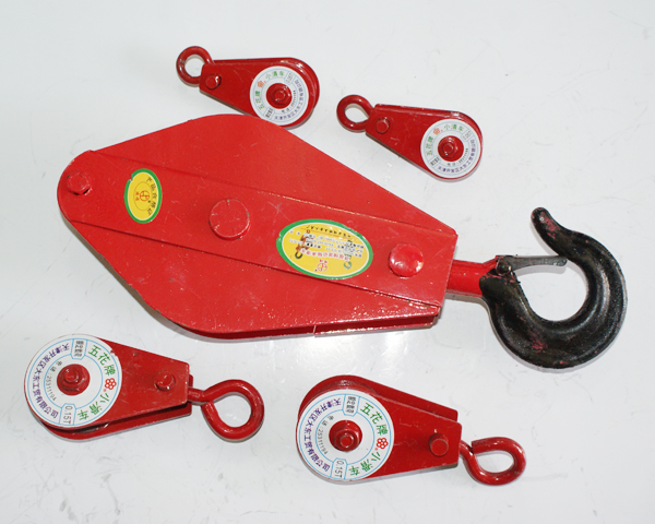 Rồng rọc 500KG